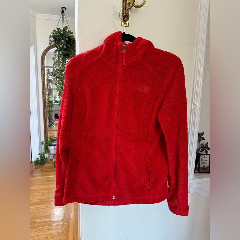 The North Face Jacket